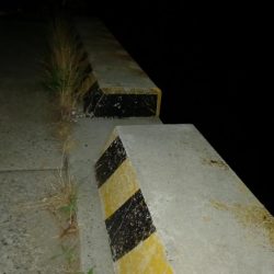 漁業権の設定されていないエリアでのタコ釣り